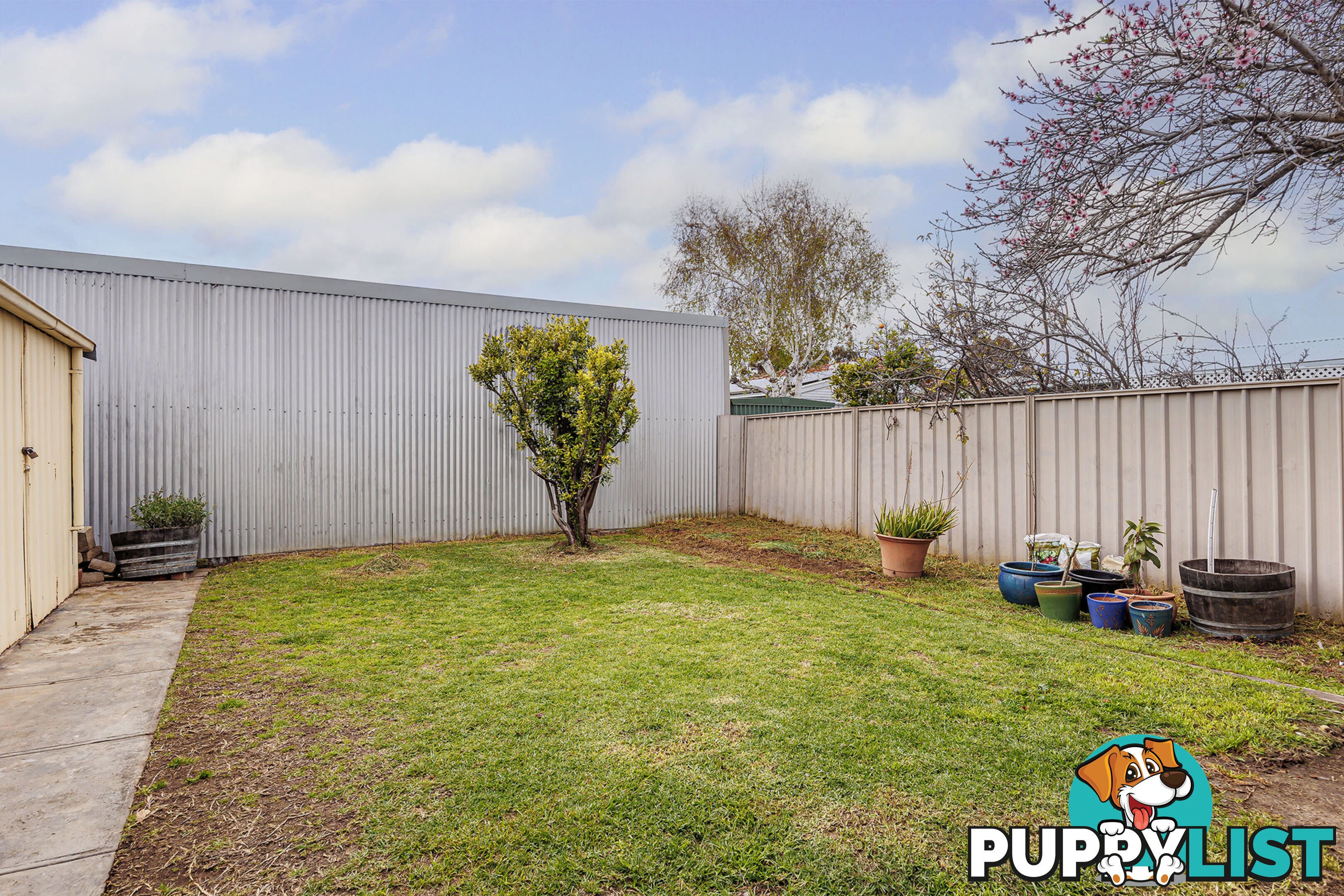 79 Wattle Avenue ROYAL PARK SA 5014