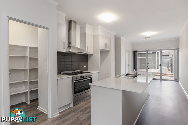 4 Grundy Road LIGHTSVIEW SA 5085