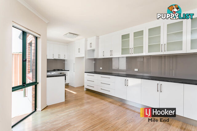 3/4 Falcon Avenue MILE END SA 5031