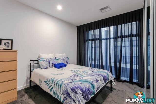 16A Wilford Avenue UNDERDALE SA 5032