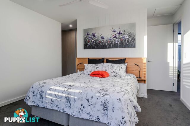 16A Wilford Avenue UNDERDALE SA 5032