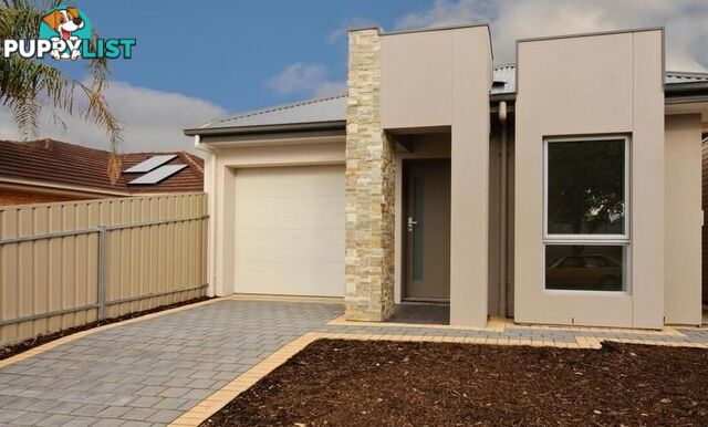 15a Tania Street WINDSOR GARDENS SA 5087