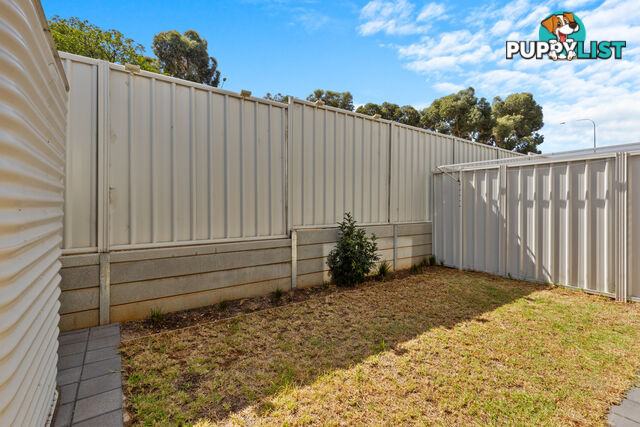 6/7 Devonport Terrace OVINGHAM SA 5082