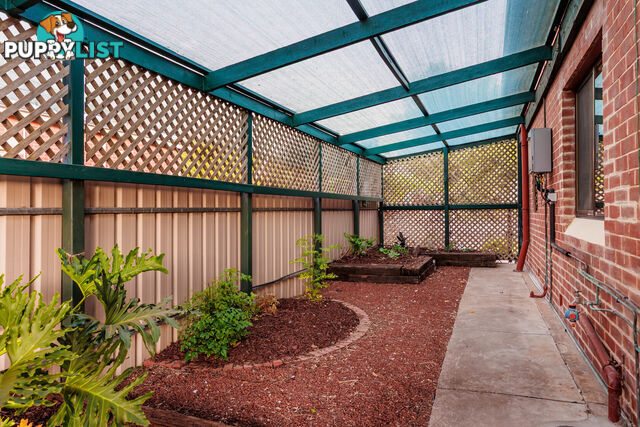 13 Boston Street WEST CROYDON SA 5008