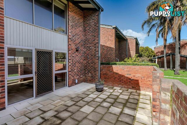 12/3 Witter Place BROOKLYN PARK SA 5032