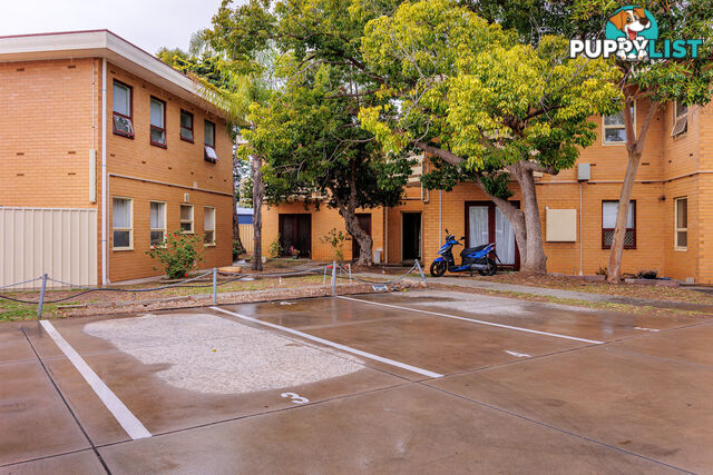 3/27 Hartley Road FLINDERS PARK SA 5025