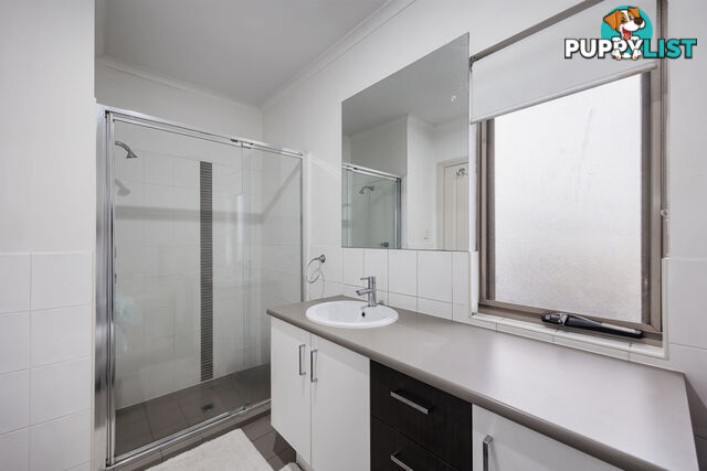 241A Marion Road MARLESTON SA 5033