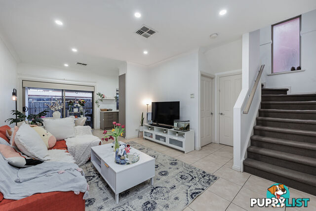 241A Marion Road MARLESTON SA 5033