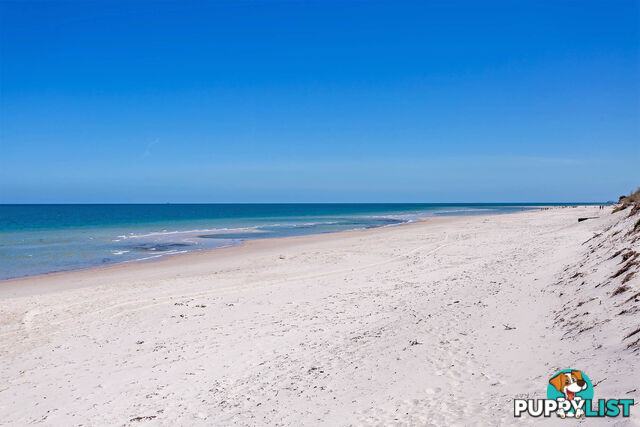 1/44 Seaview Road WEST BEACH SA 5024