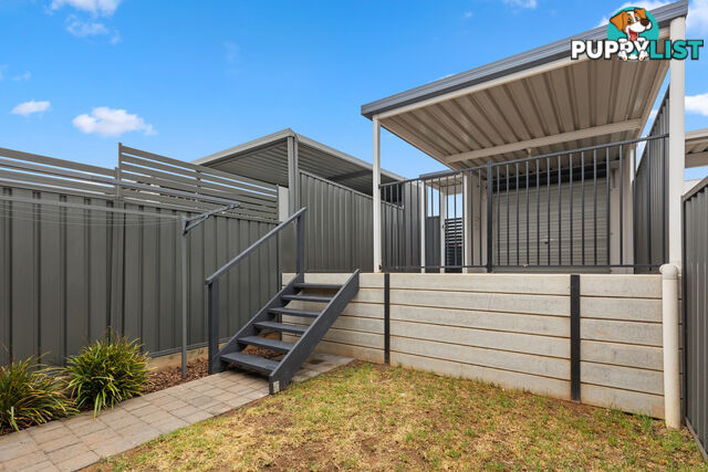 58 Burnlea Parade BLAKEVIEW SA 5114