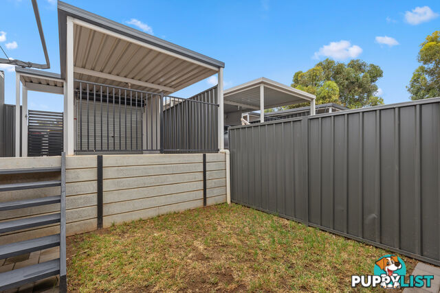 58 Burnlea Parade BLAKEVIEW SA 5114