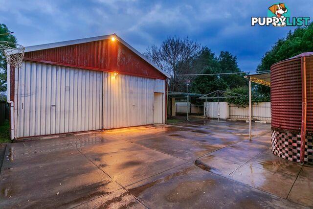 54 Roebuck Street MILE END SA 5031