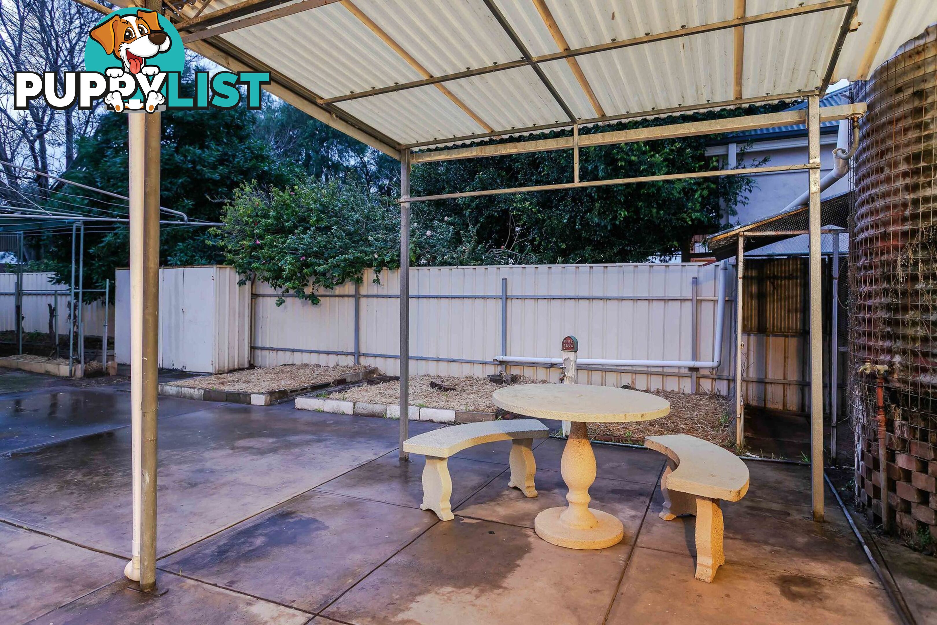 54 Roebuck Street MILE END SA 5031