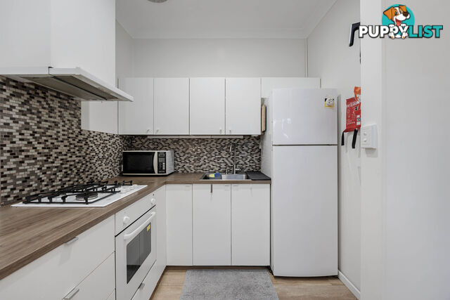 19 Clifford Street TORRENSVILLE SA 5031