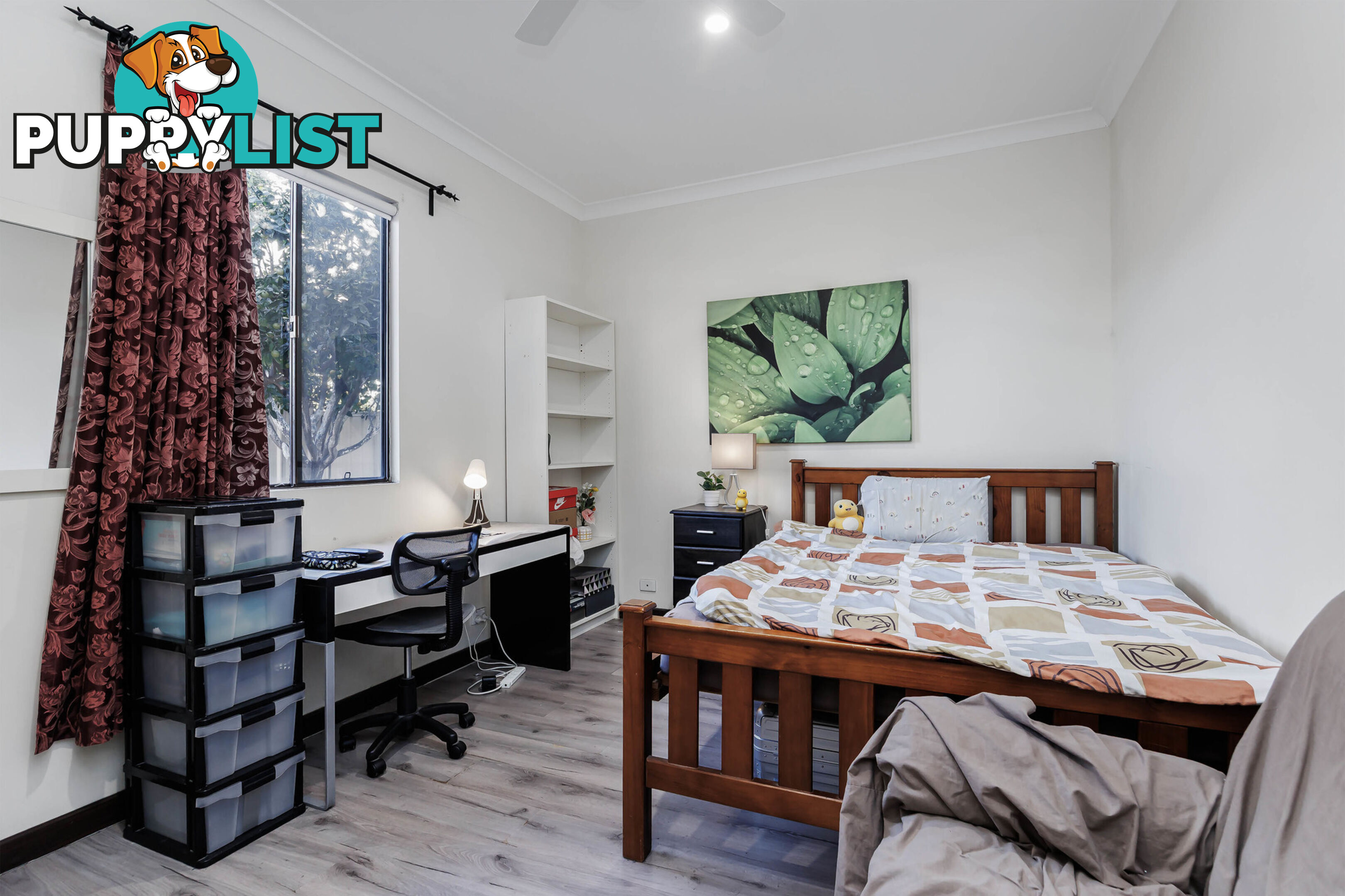 19 Clifford Street TORRENSVILLE SA 5031