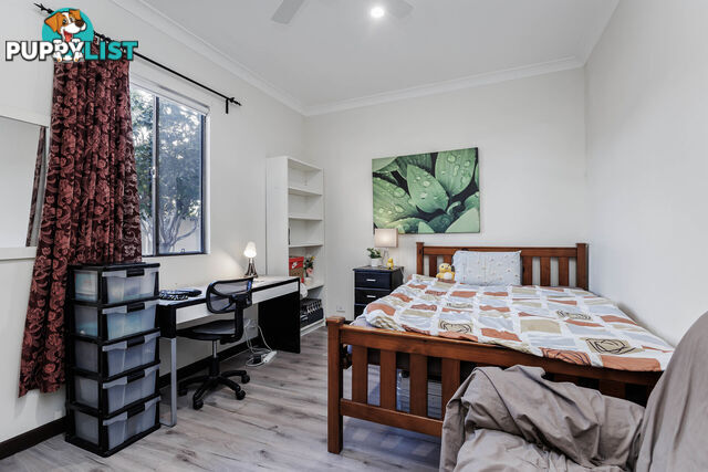 19 Clifford Street TORRENSVILLE SA 5031