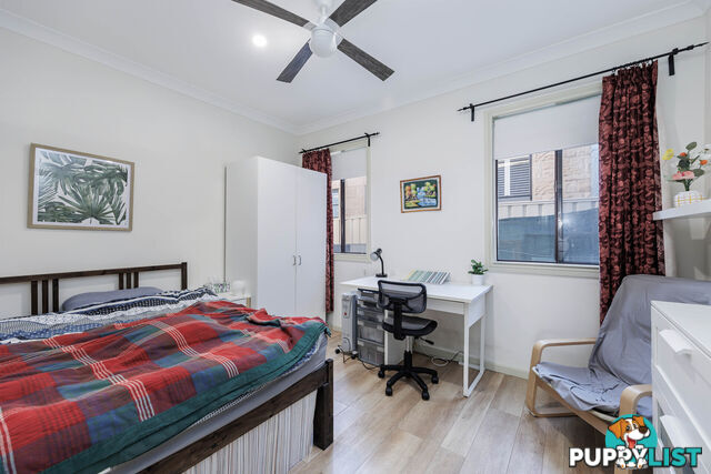 19 Clifford Street TORRENSVILLE SA 5031