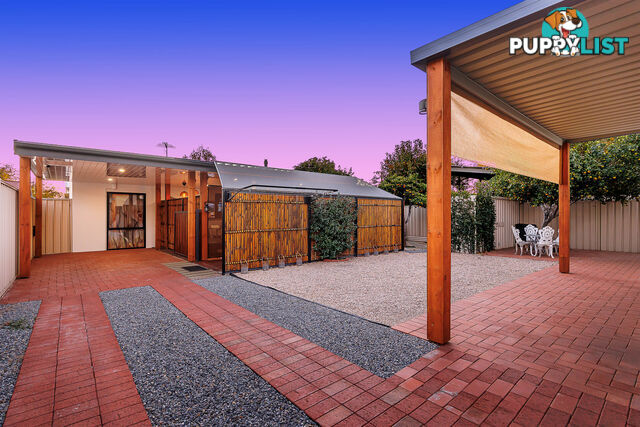 19 Clifford Street TORRENSVILLE SA 5031