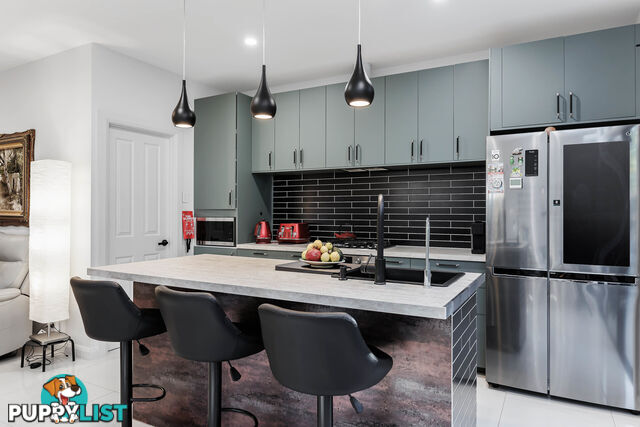 19 Clifford Street TORRENSVILLE SA 5031
