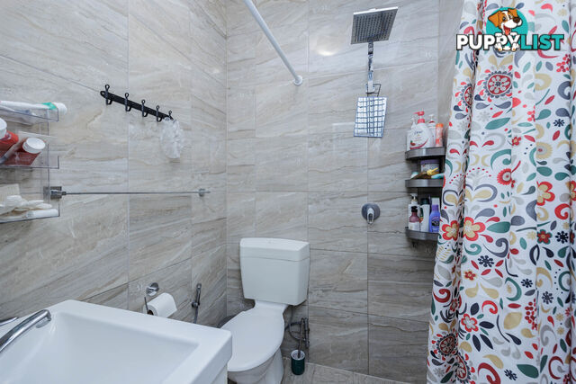 19 Clifford Street TORRENSVILLE SA 5031