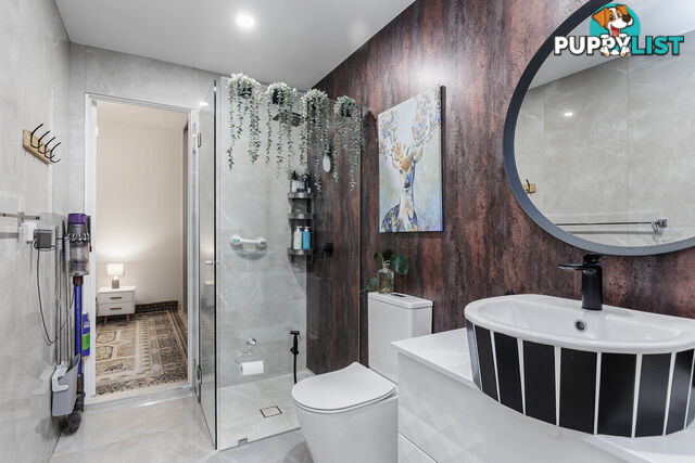 19 Clifford Street TORRENSVILLE SA 5031