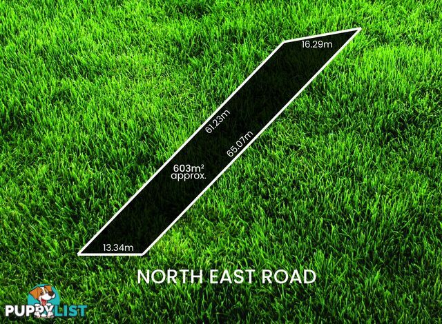 1127a North East Road RIDGEHAVEN SA 5097