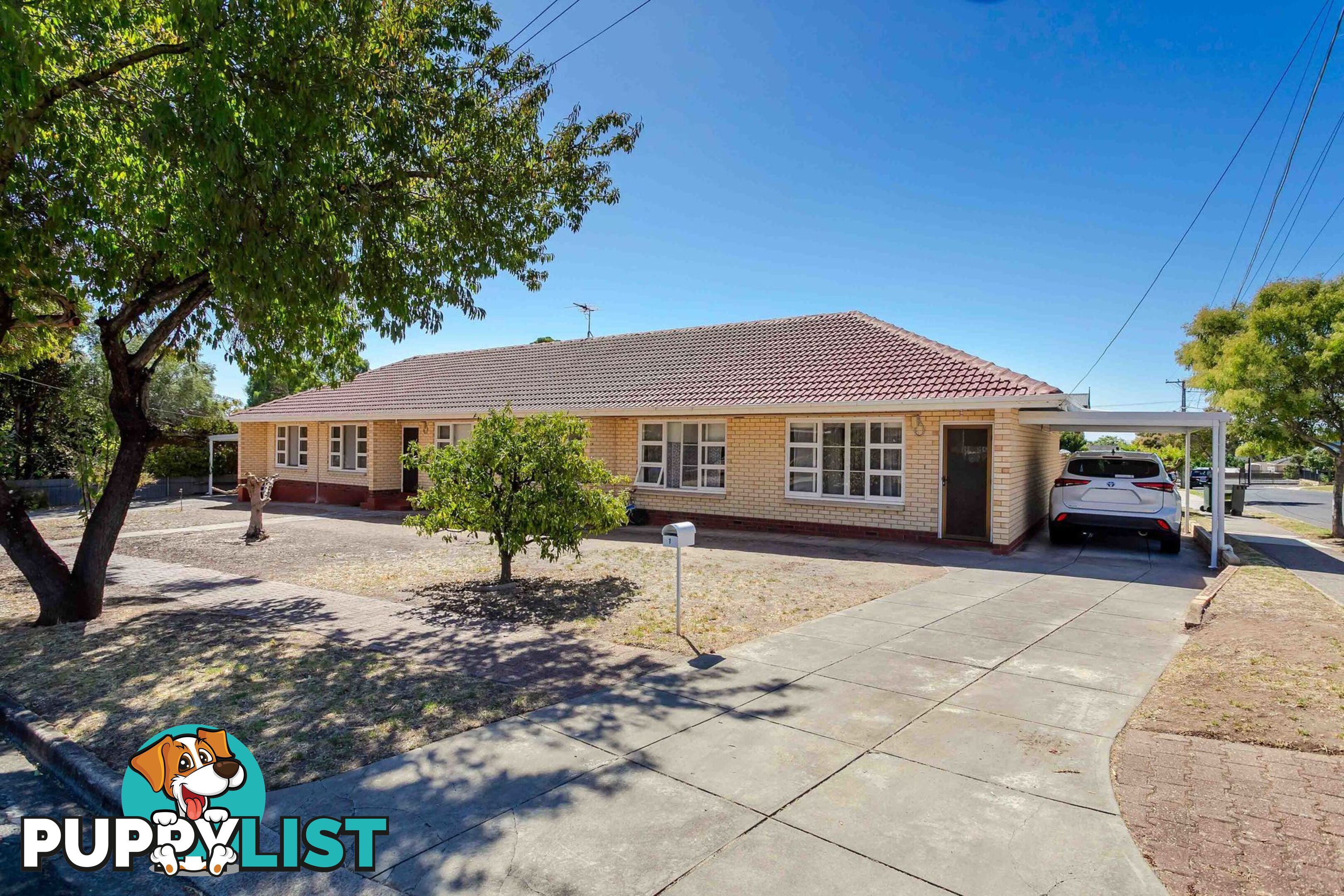 41 Maud Street ROSTREVOR SA 5073