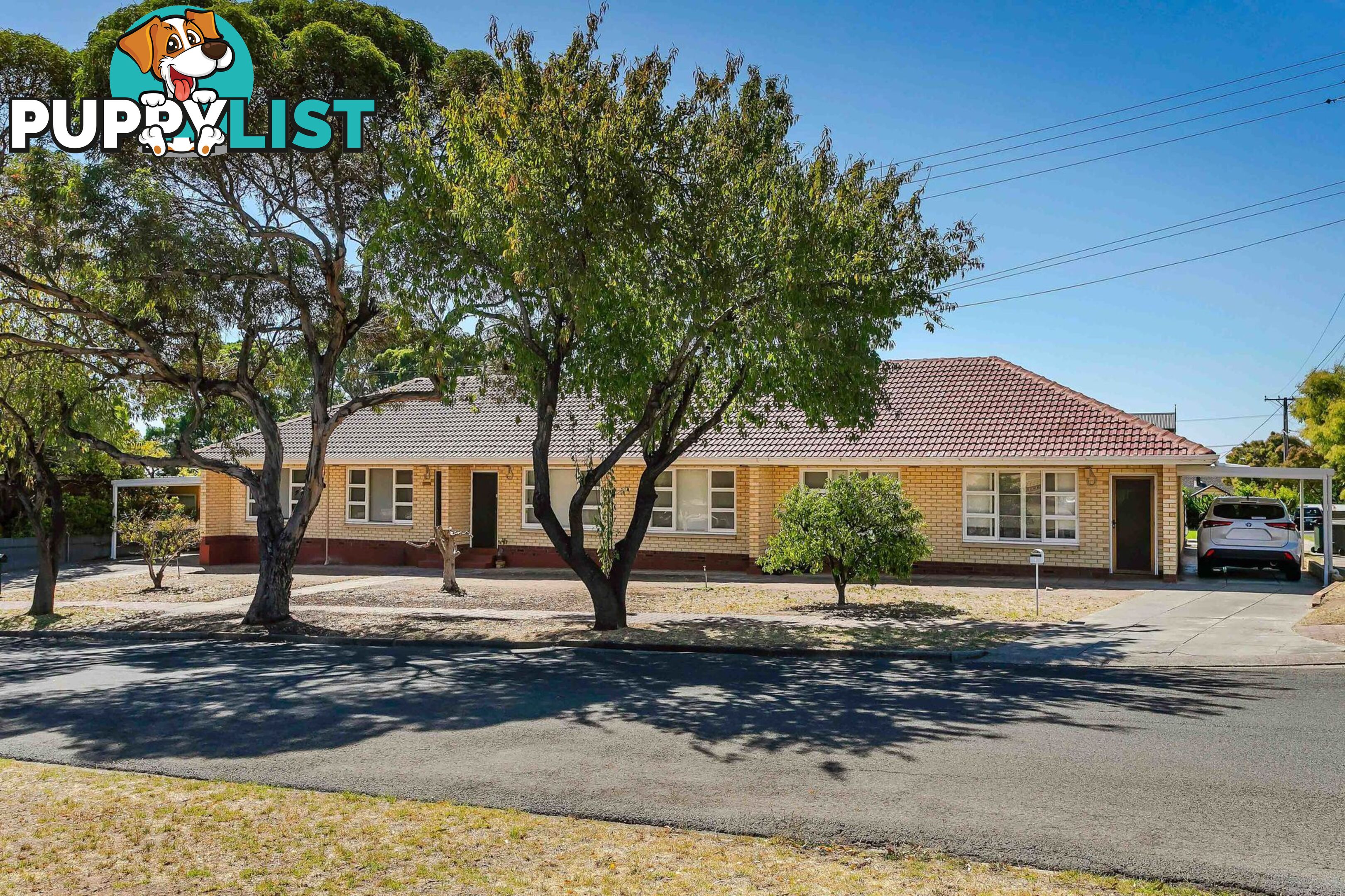 41 Maud Street ROSTREVOR SA 5073