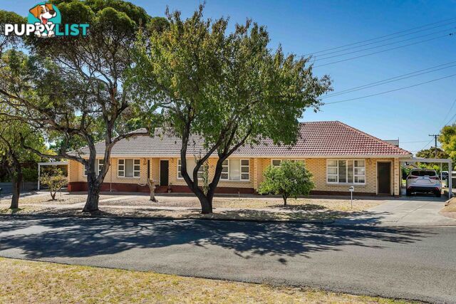 41 Maud Street ROSTREVOR SA 5073