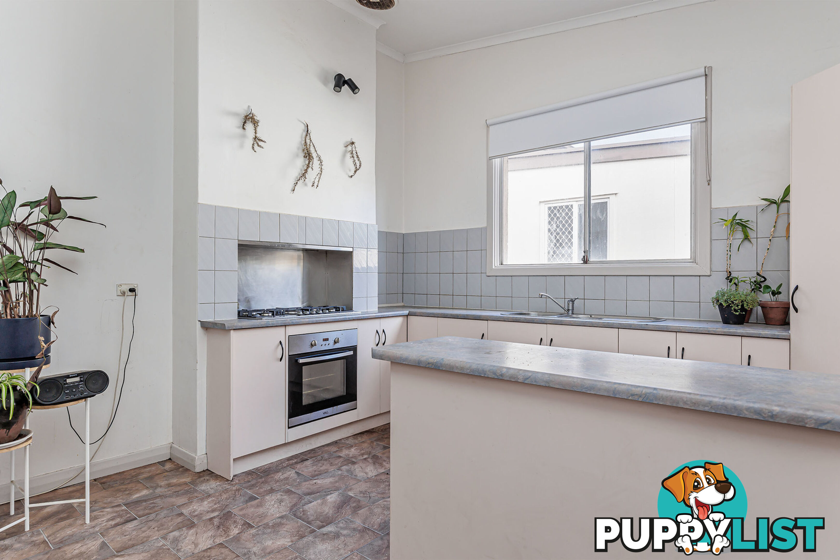 34 Smith Street THEBARTON SA 5031