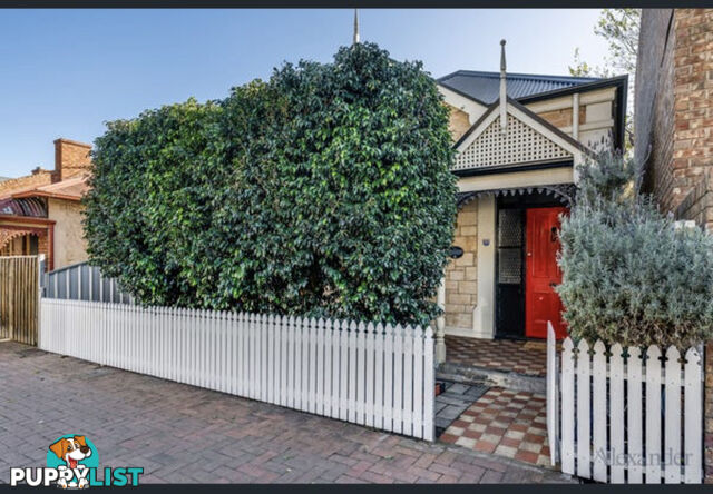 30 Melbourne Street NORTH ADELAIDE SA 5006