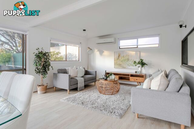 33 Craig Street RICHMOND SA 5033