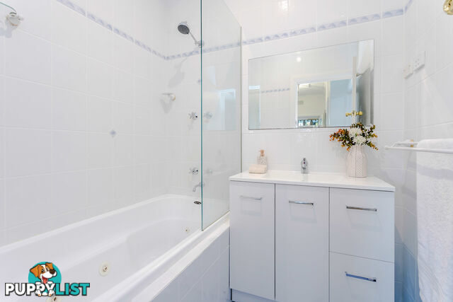 33 Craig Street RICHMOND SA 5033