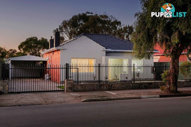 33 Craig Street RICHMOND SA 5033