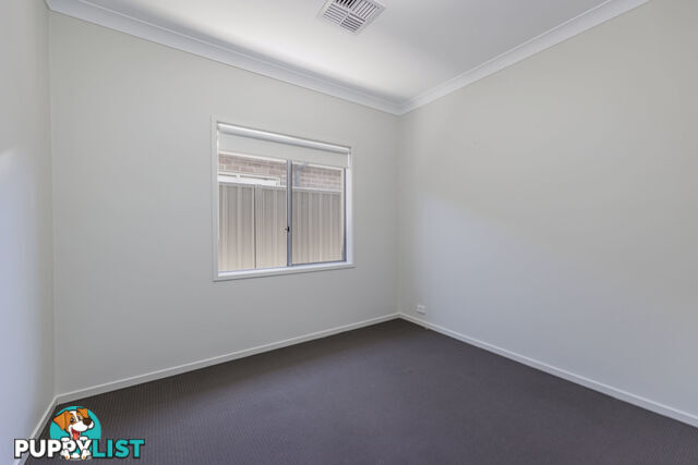 1 Box Street ENFIELD SA 5085