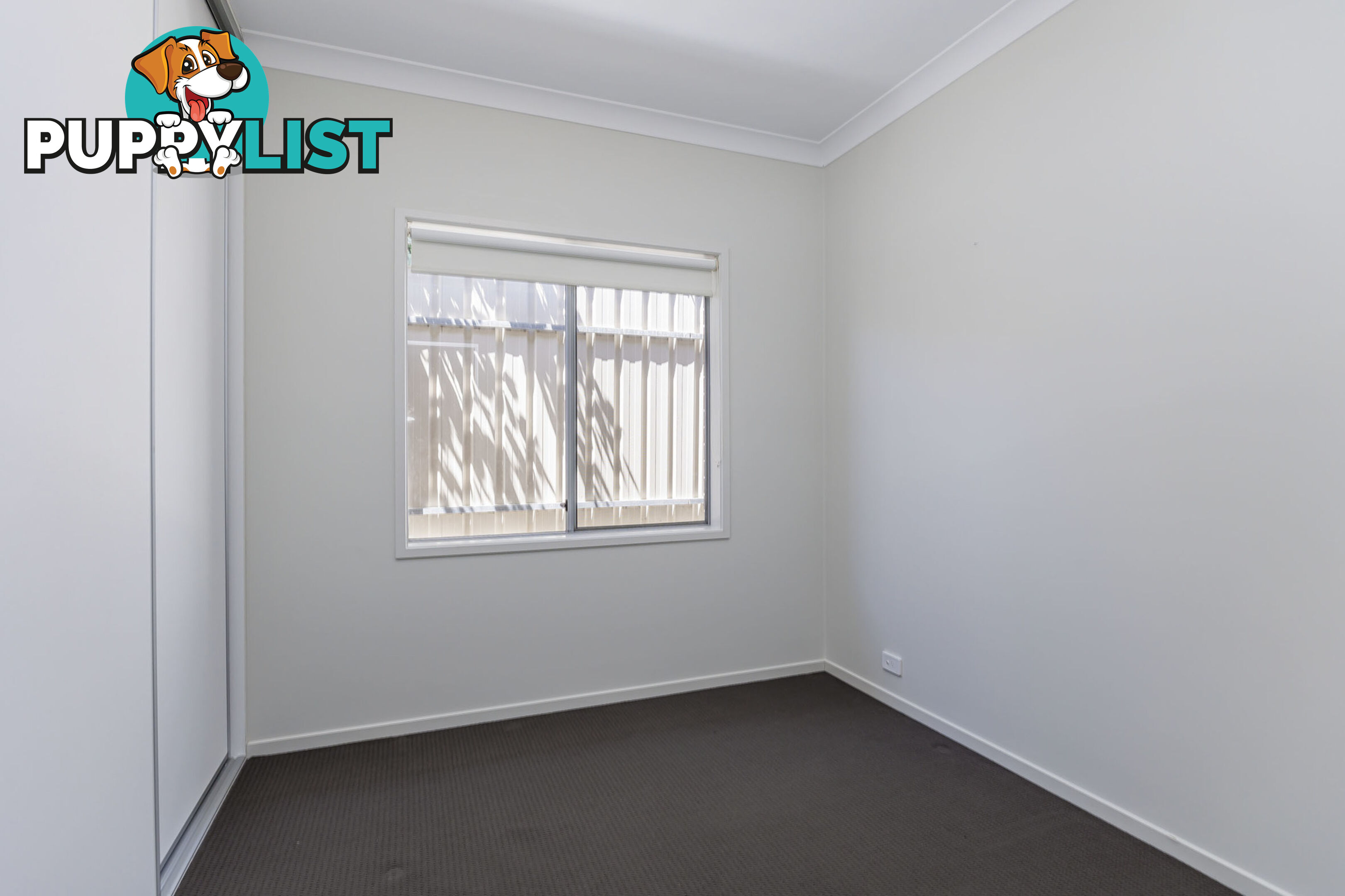 1 Box Street ENFIELD SA 5085