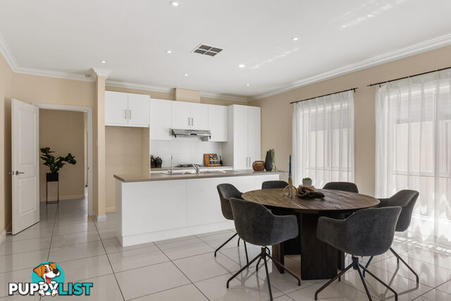 42 Cadell Street WINDSOR GARDENS SA 5087