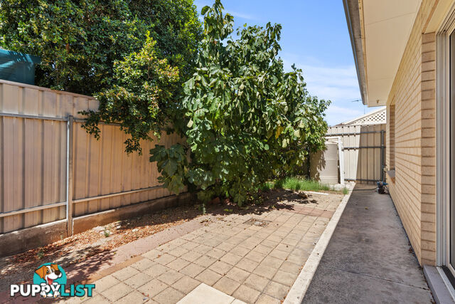 42 Cadell Street WINDSOR GARDENS SA 5087