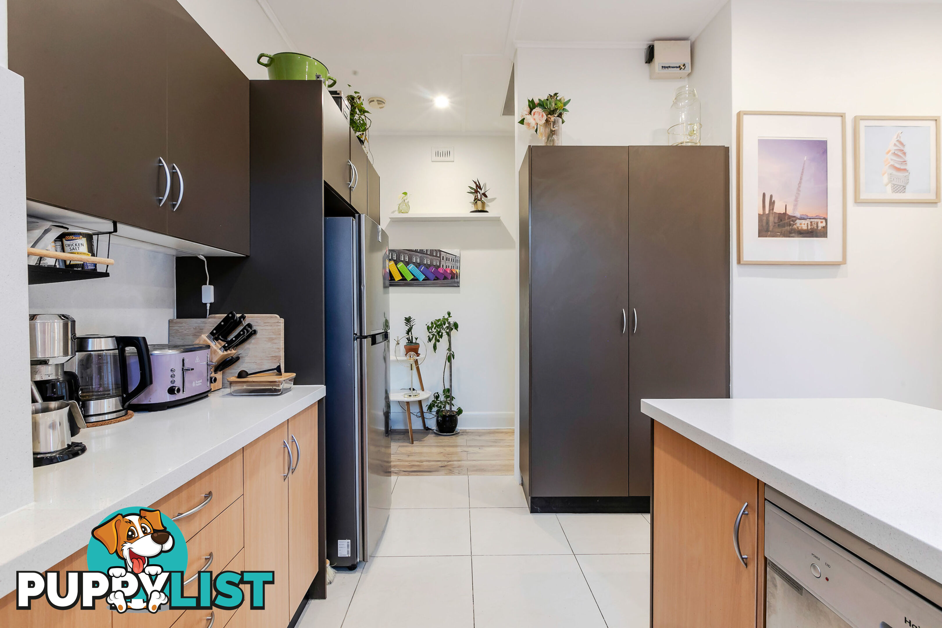 15 Spencer Street COWANDILLA SA 5033