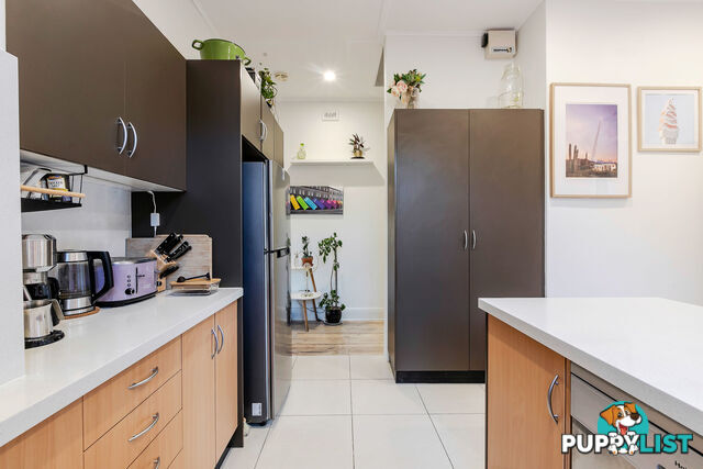 15 Spencer Street COWANDILLA SA 5033