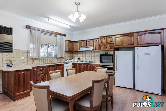 13 Marion Road TORRENSVILLE SA 5031