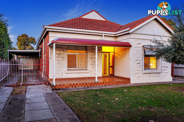 13 Marion Road TORRENSVILLE SA 5031