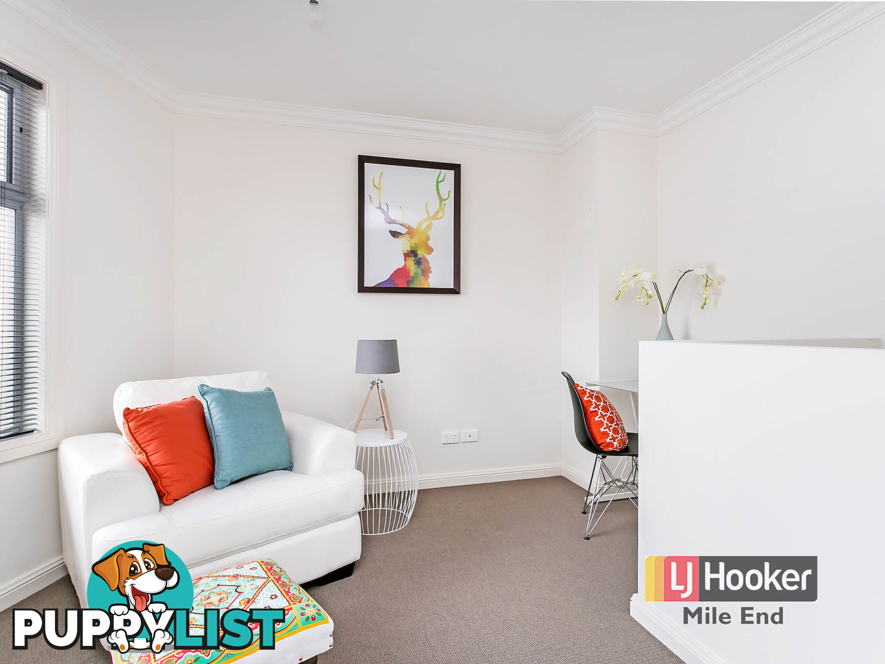 4B Wilga Street SEACOMBE GARDENS SA 5047