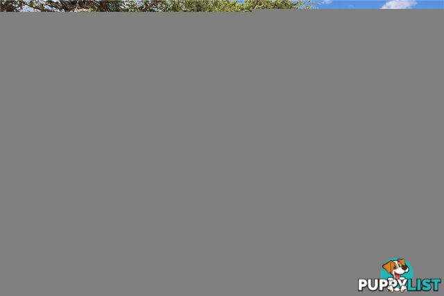 11 Jansz Place FAIRFIELD WEST NSW 2165