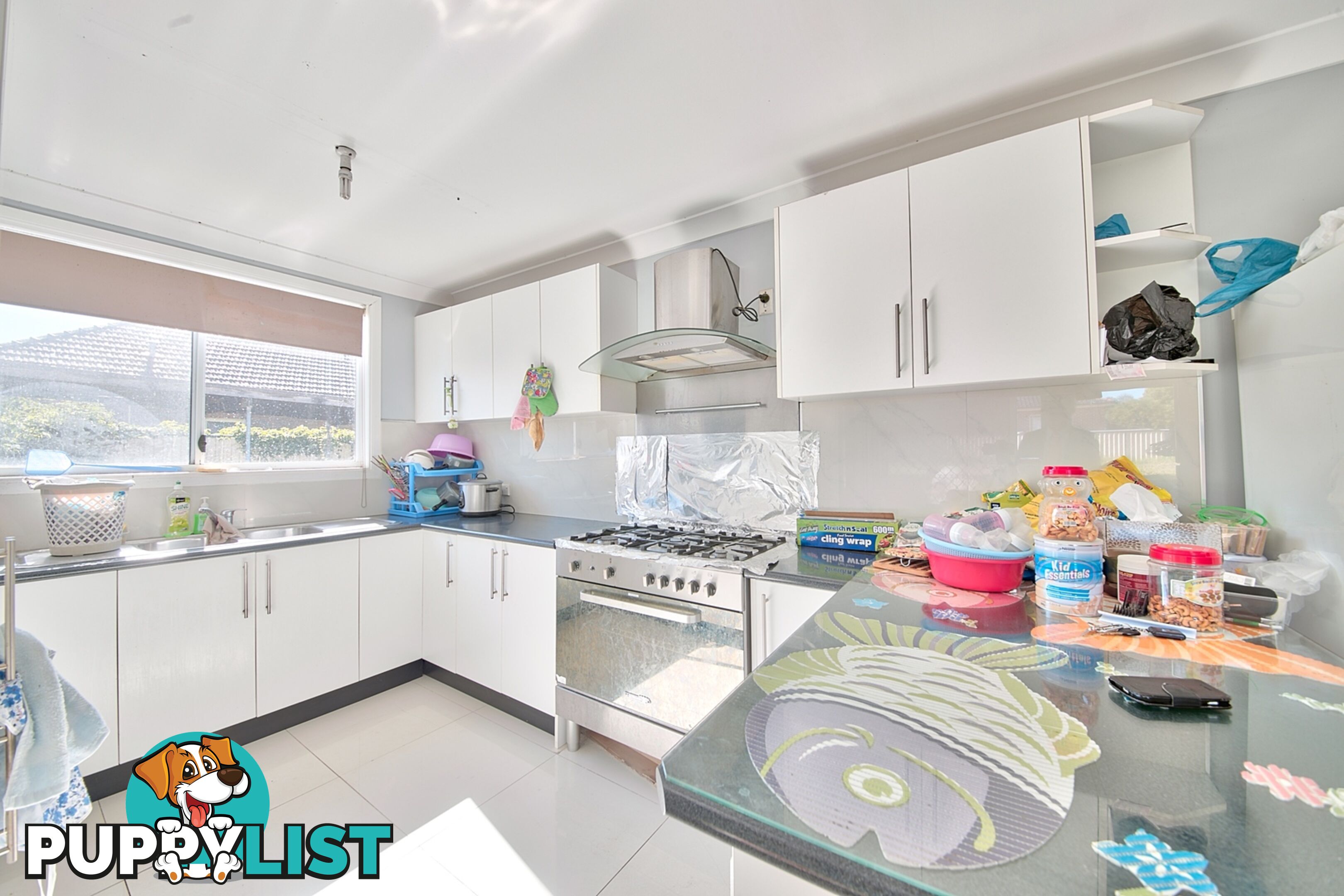 13 Prout Street CABRAMATTA NSW 2166