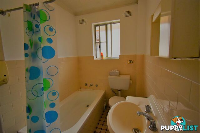 3/117 Longfield Street CABRAMATTA NSW 2166