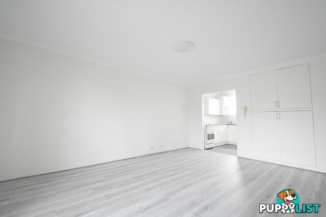 3/117 Longfield Street CABRAMATTA NSW 2166