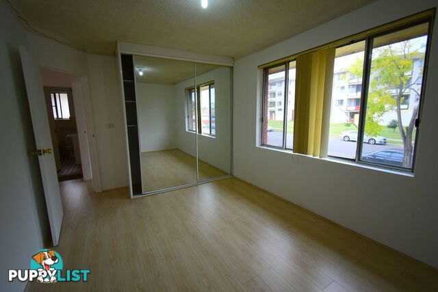 3/117 Longfield Street CABRAMATTA NSW 2166