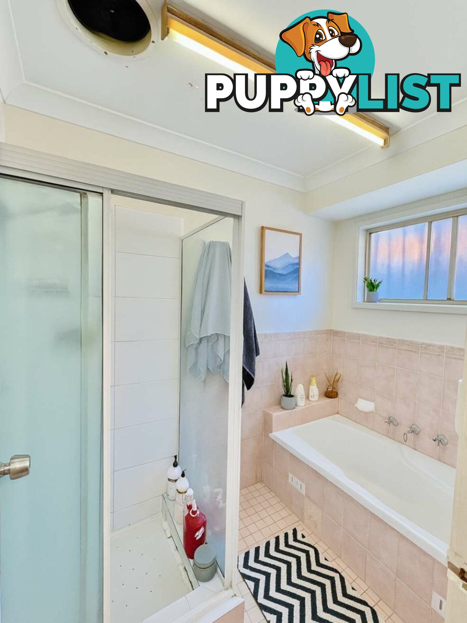 103 Brown Road BONNYRIGG NSW 2177