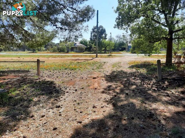 5 Lachlan St BOREE CREEK NSW 2652